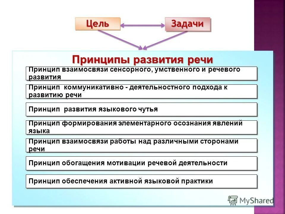 Принцип взаимосвязи сенсорного умственного и речевого развития. Основные направления работы по развитию речи. Принцип развития языкового чутья. Формирование элементарного осознавания явлений языка и речи. Вид деятельности формирования элементарного осознания явлений языка.