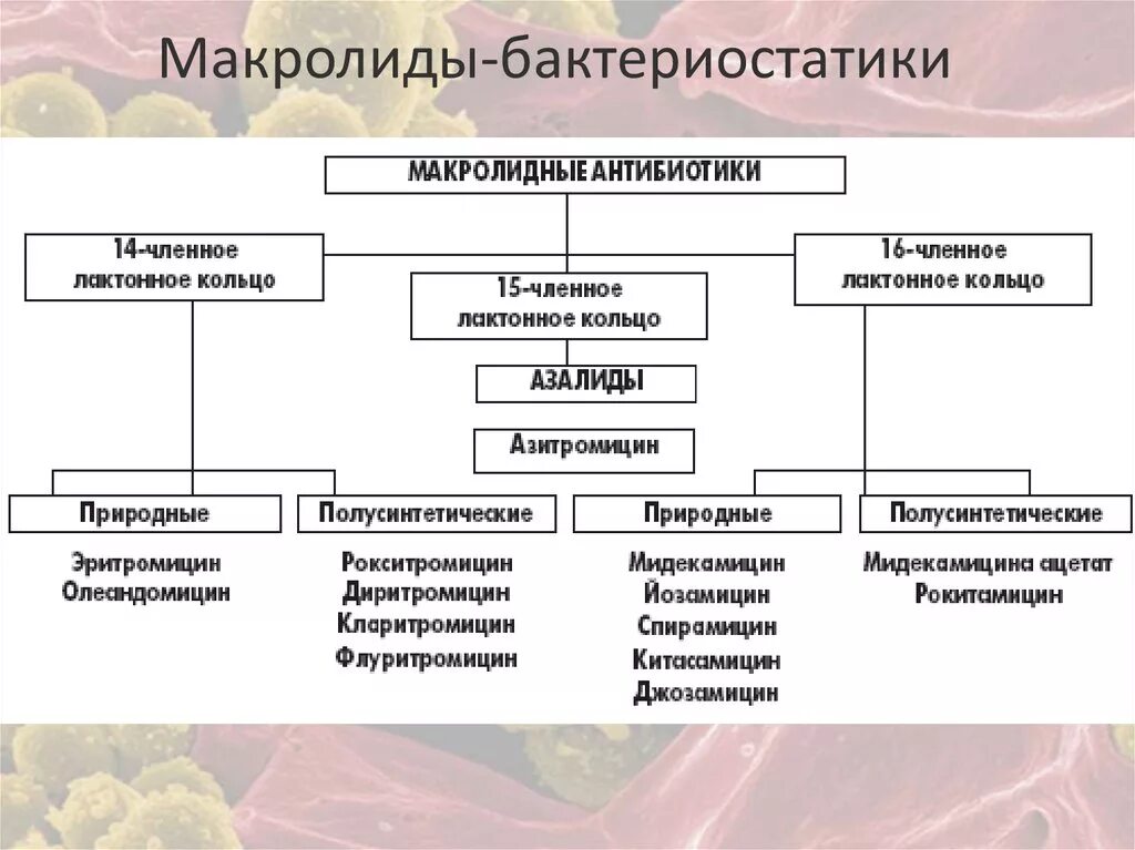 Макролиды поколение антибиотиков. Группа макролидов классификация. Классификация препаратов макролидов и азалидов. Макролиды антибиотики поколения. Макролидные антибиотики список.