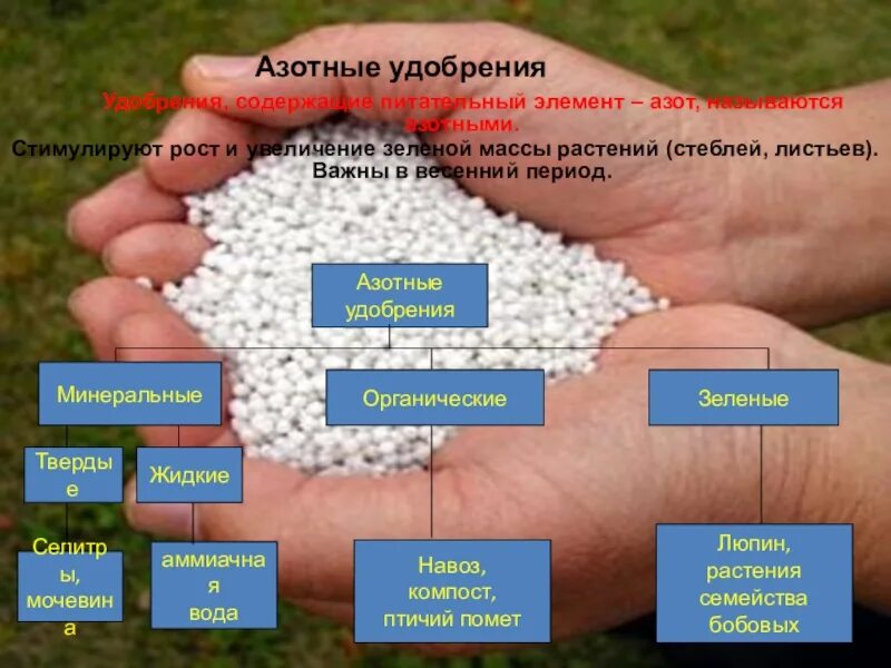 Соединение минеральных удобрений. Химические удобрения. Азотные удобрения. Азотсодержащие удобрения. Внесение азотных удобрений.