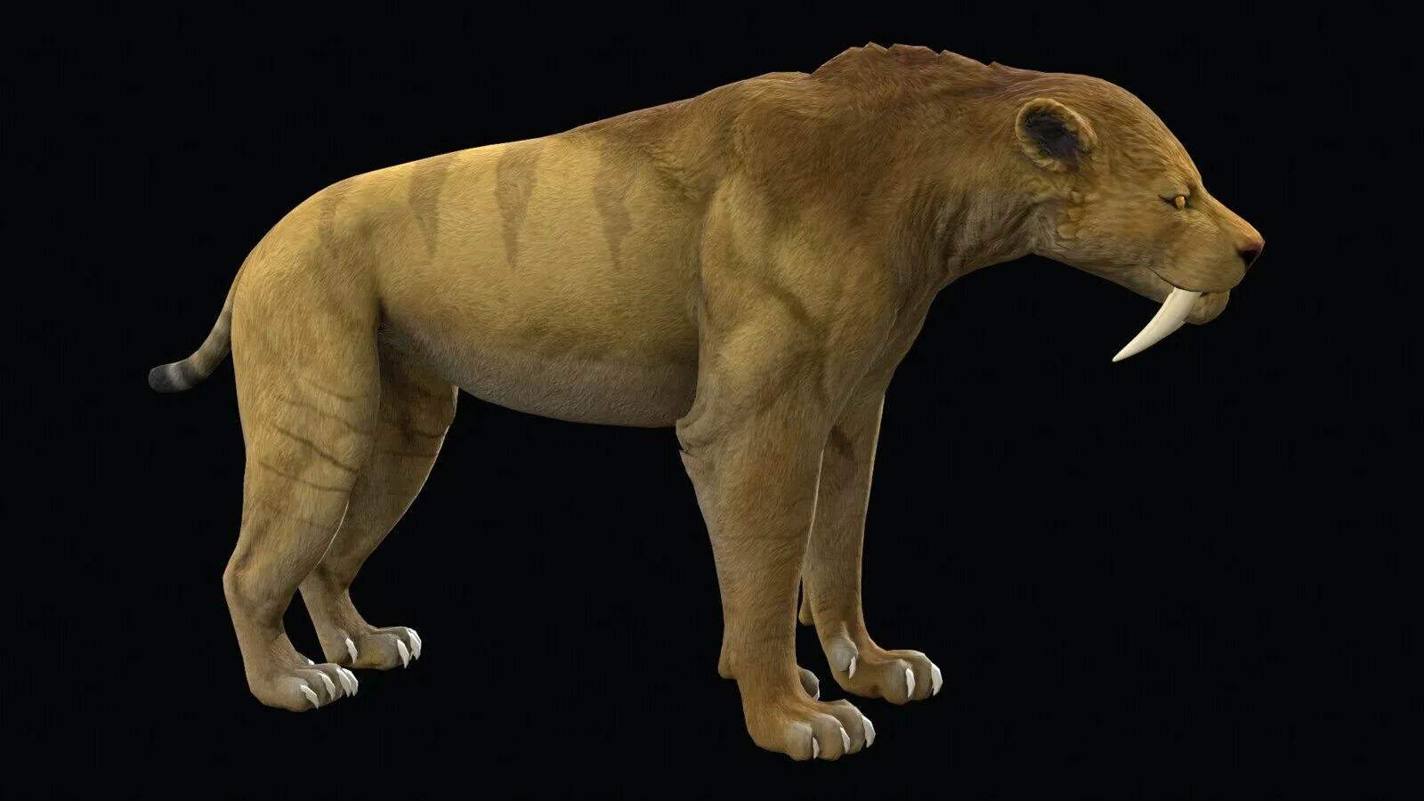 Smilodon. Cмилодон (Саблезубый тигр). Махайрод Смилодон. Смилодон популятор. Смилодон-разрушитель.