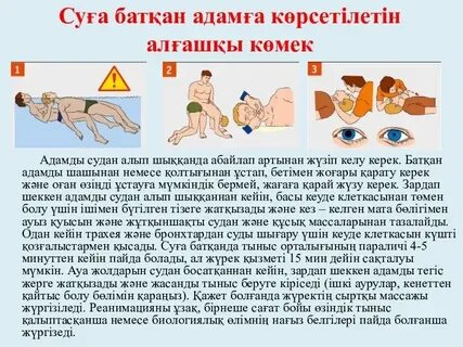 Бөртпелер шыққан кеуде фотосы