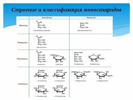 Строение классификации