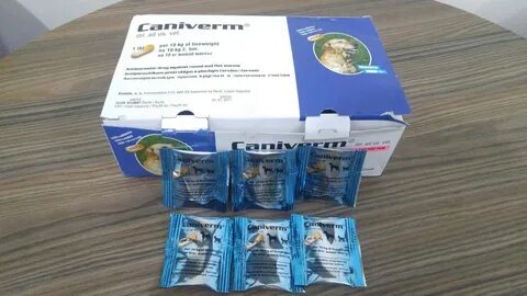 Квантум для собак инструкция