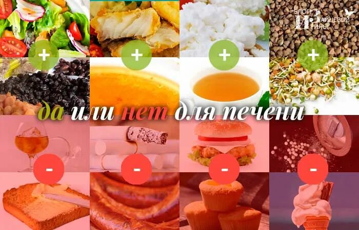 Что не любит поджелудочная железа из продуктов