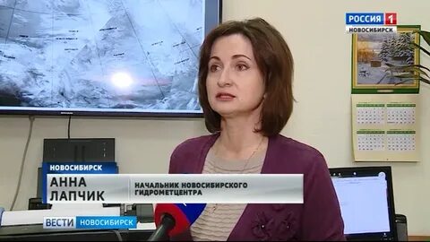 Гидрометцентр новосибирск на 10 дней