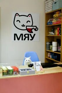 Котокафе екатеринбург
