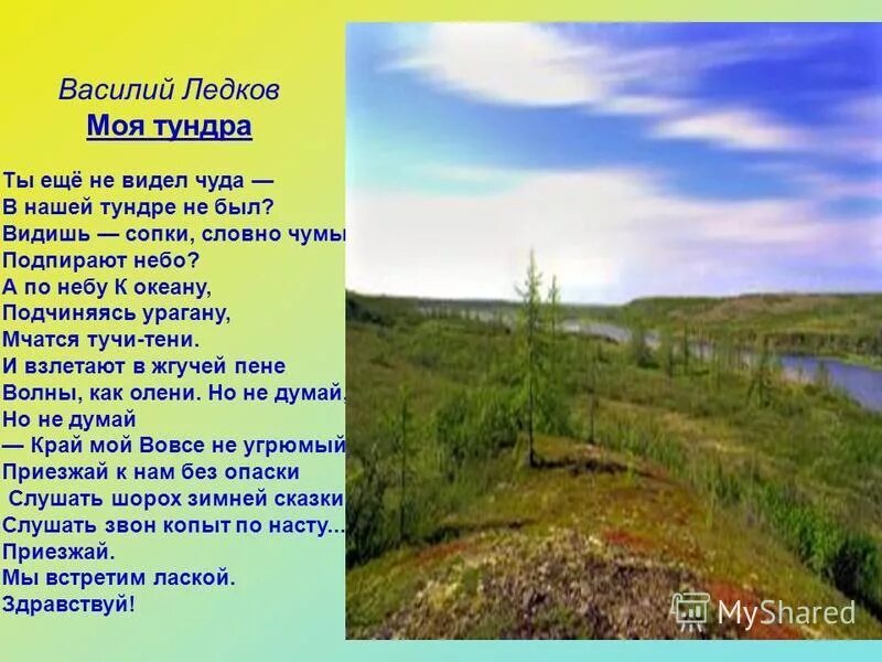 тундра стих. лето в тундре описание. доклад о тундре. стихи о тундре. тундра стих.