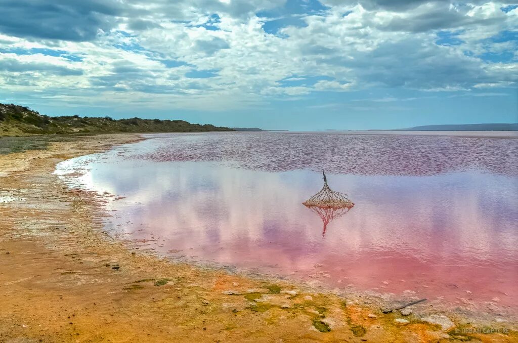 Озеро Грегори Австралия. Озеро макдоннелл Австралия. Озеро Хиллер. Озеро Хильер в Австралии.