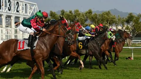Live horse racing
