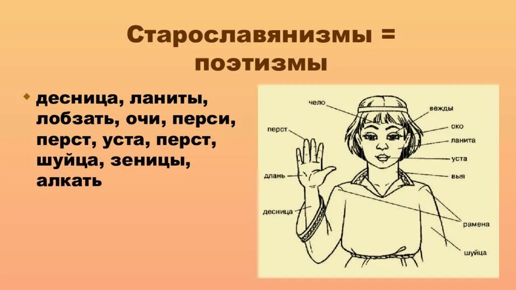 Перст уста выя Ланита. Очи чело ланиты. Перси и ланиты. Чело,перст,Длань,очи,ланиты, уста.. Вдумч вый