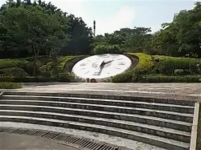 Feeling park