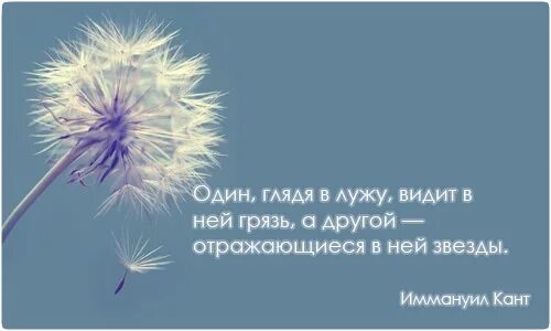 Один видит лужу другой звезды. Один видит грязь другой звезды. Один в луже видит грязь другой. Один в луже видит грязь другой отражающиеся звезды. Вы вероятно видели друзья мои