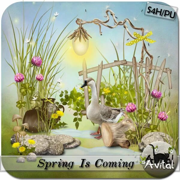 Spring coming. Spring is coming Spring is coming Birdies. Spring Scrap. Spring arrives