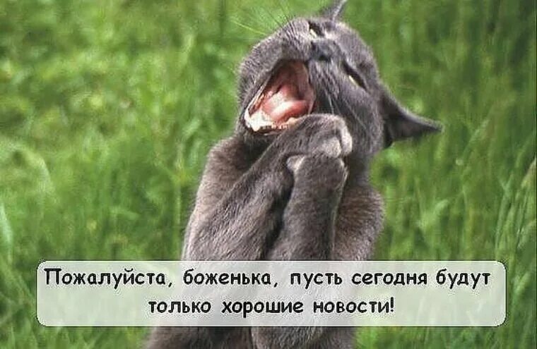 Хочу хороших новостей