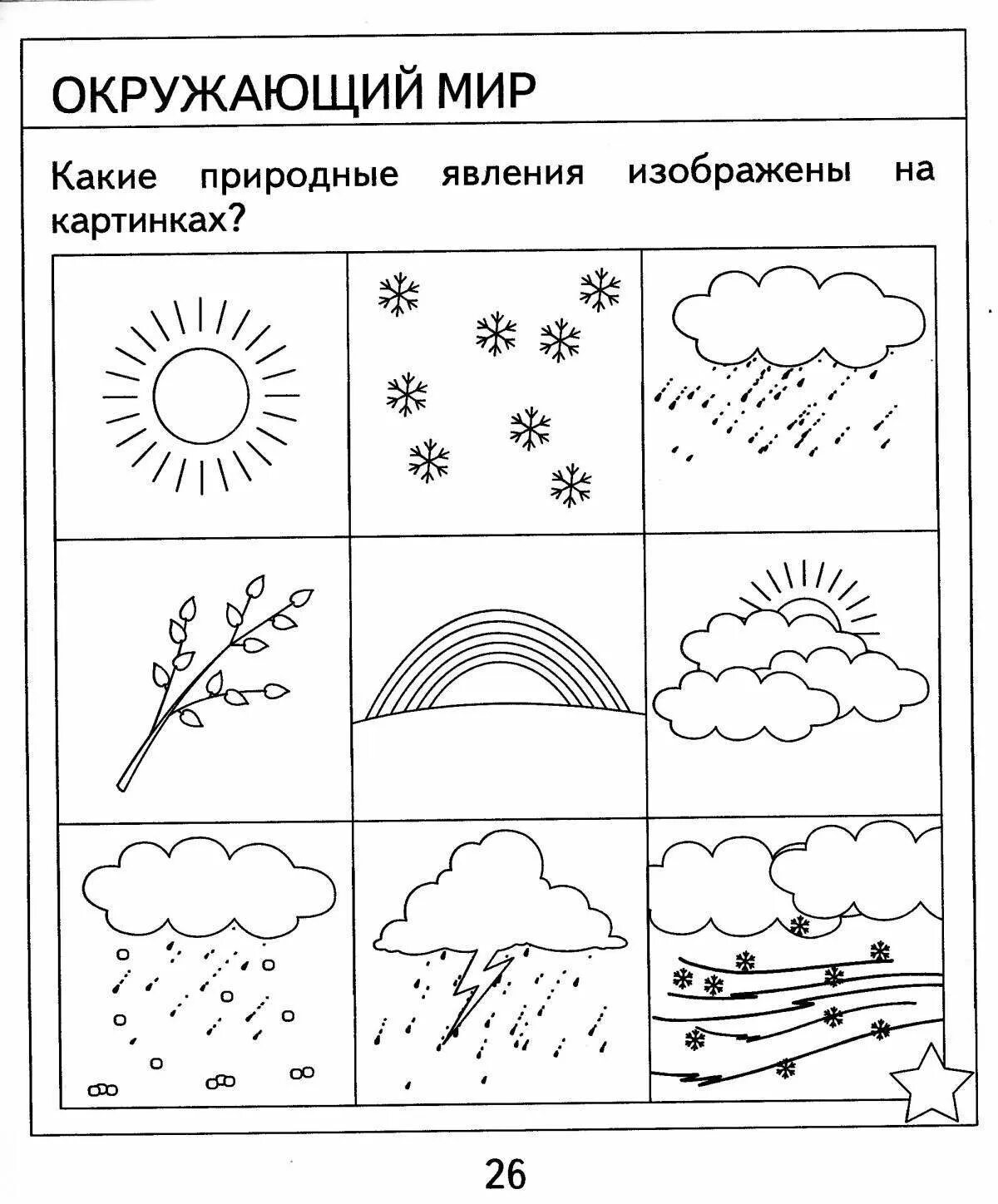 Задания наблюдения окружающий мир