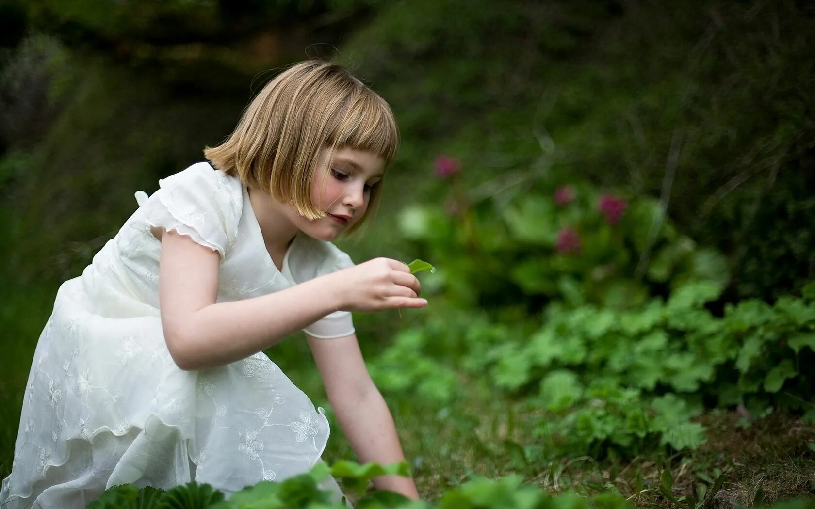 Девочка посмотрев на ее. Фото маленькой девочки смотрит на небо. Девочка посмотрев на ее. Девочка посмотрев на ее. Дети на лугу.