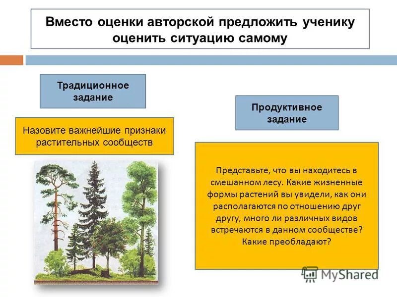 Признаки растительных сообществ. Важнейшие признаки растительных сообществ. Назовите важнейшие признаки растительных сообществ.. Жизненные формы растений в лесу. Жизненные формы смешанного леса.