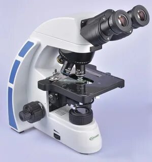 Ex 31