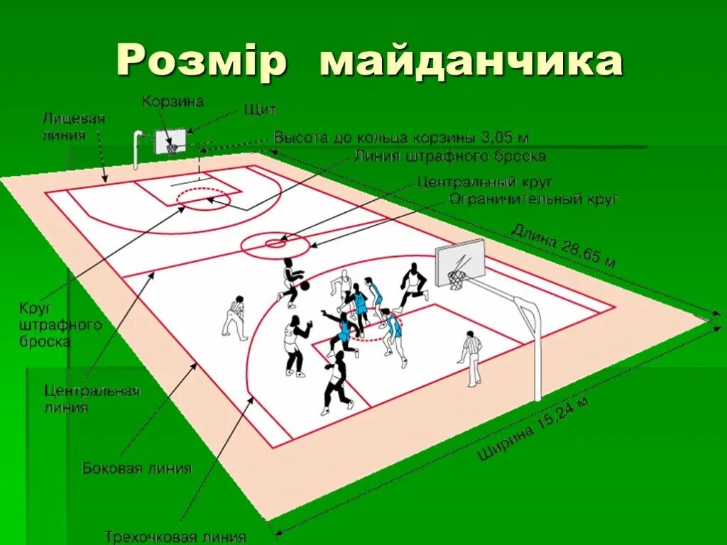 Разметка баскетбольной площадки с названиями линий. Штрафная линия в баскетболе. Площадь баскетбольной площадки м2. Линия штрафного броска в баскетболе. Сколько размером баскетбольное поле.
