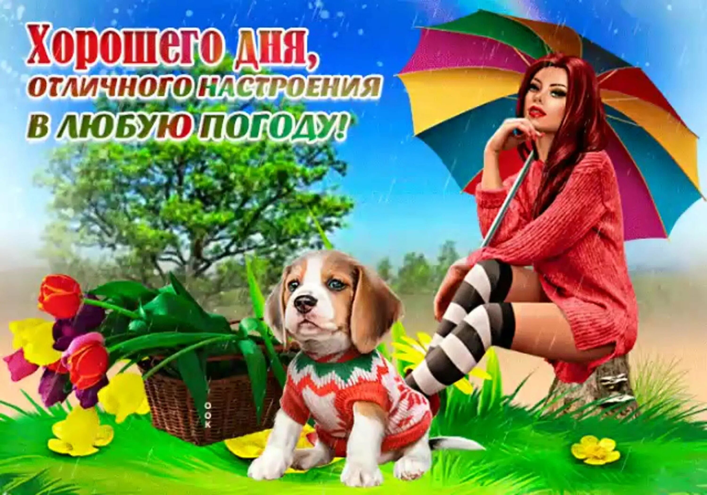 Доброй погоды картинки. Хорошего настроения в любую погоду. Хорогегонастроенич в оюбкю погоду. Хорошего настроения в любуютпогоду. Хорошего настроения в любую п.
