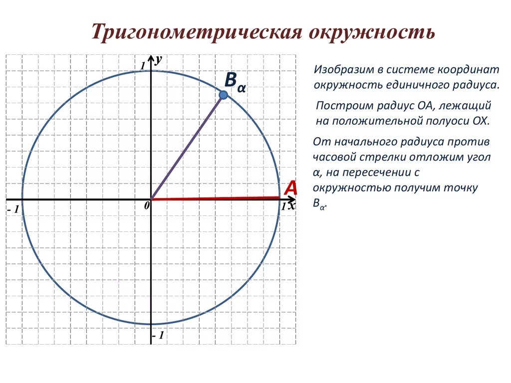 Положительное направление окружности. Единичная окружность. Окружность тригонометрия. Единичная тригонометрическая окружность. Тригонометрический круг.