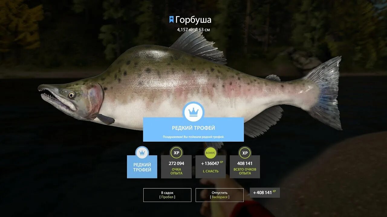 Троллинг русская рыбалка 4. Сельдь черноморская рр4. Голец куорский. Щука. Русская рыбалка 4 голец арктический.