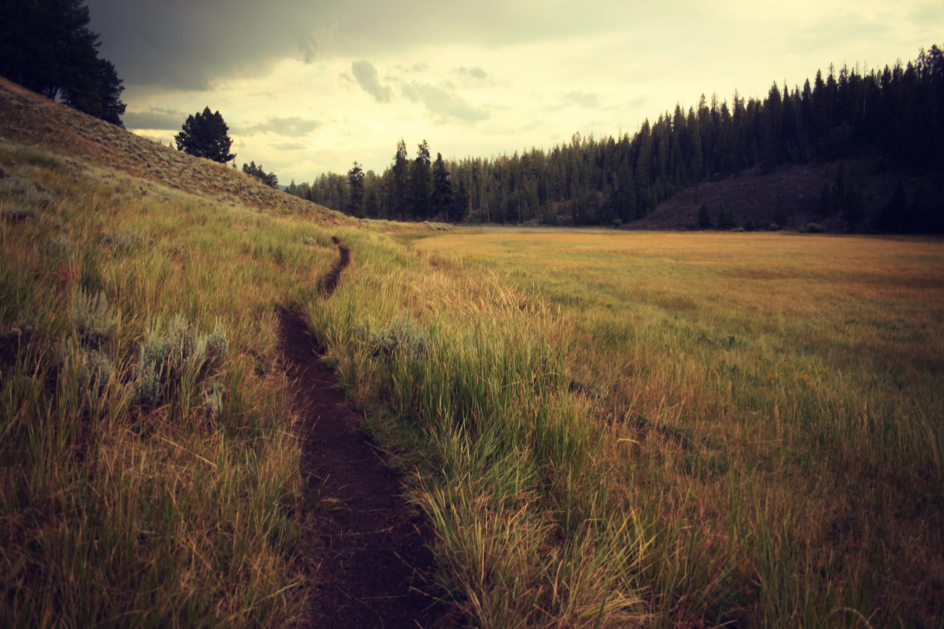 Path thread