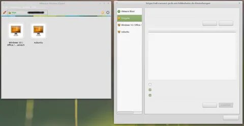 Horizon client