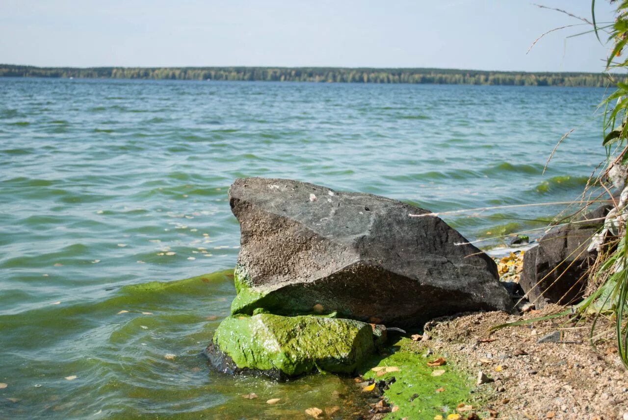 Домашкинское водохранилище бузулукский район. Заречный Белоярское водохранилище. Заречный Свердловская область водохранилище. Белоярское водохранилище Свердловская БАЭС. Заречный озеро Свердловская область.