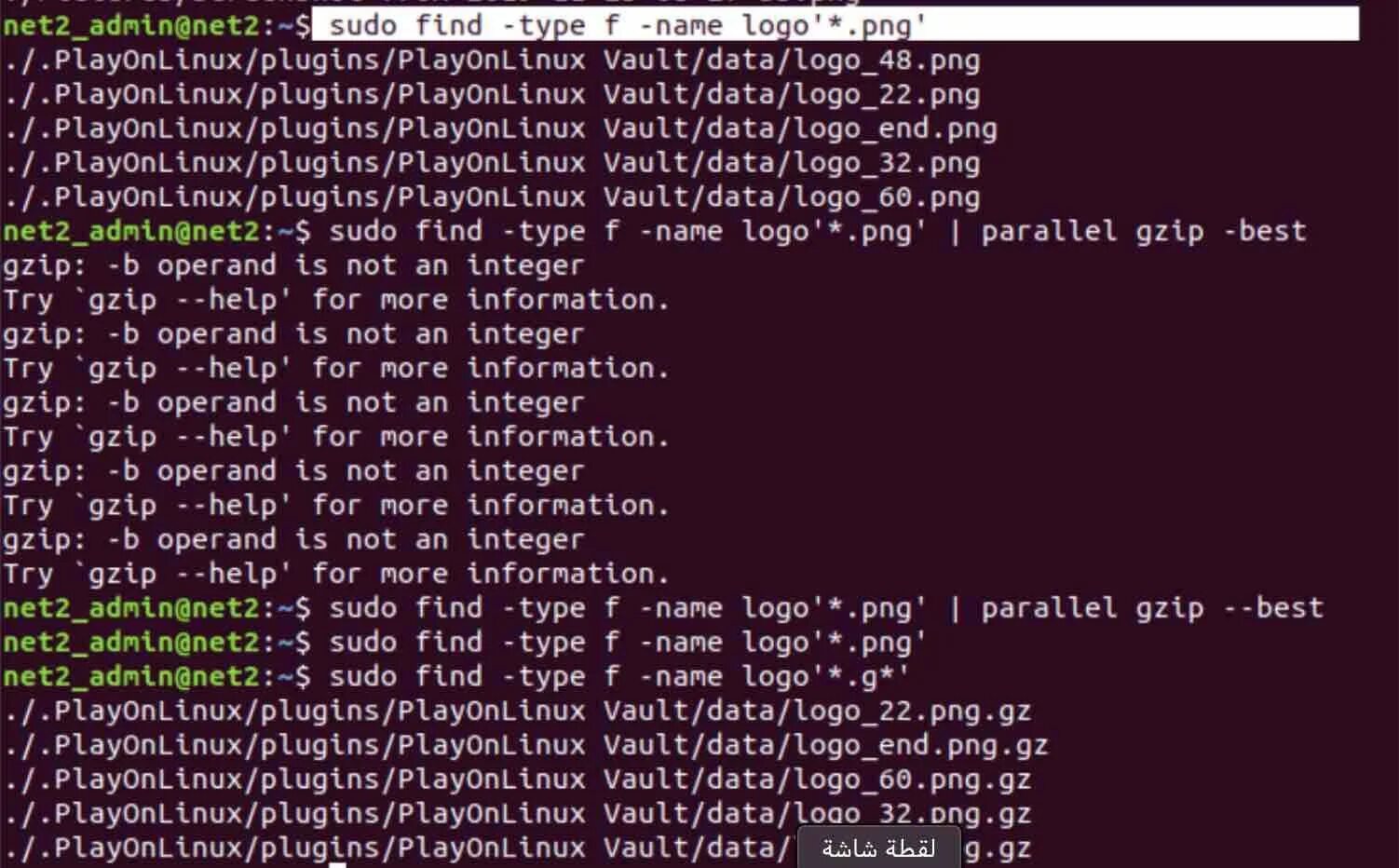 Git exec. Bash run. command execute.