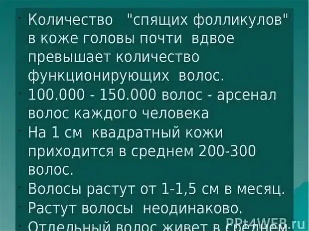 Спится число. Спится число