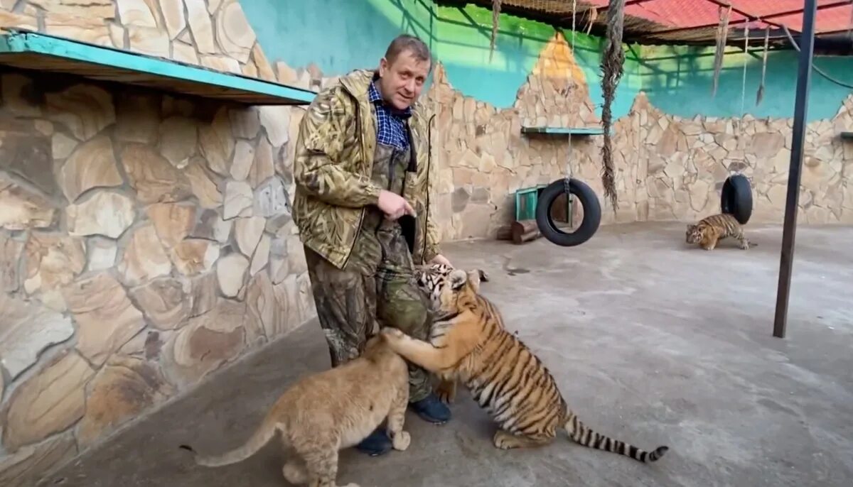 Парк тигров Тайган. Парк Тайган леопард. Нападение леопарда в Тайгане. Леопард напал на сотрудника парка Тайган в Крыму.