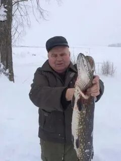 Погода в скреблове