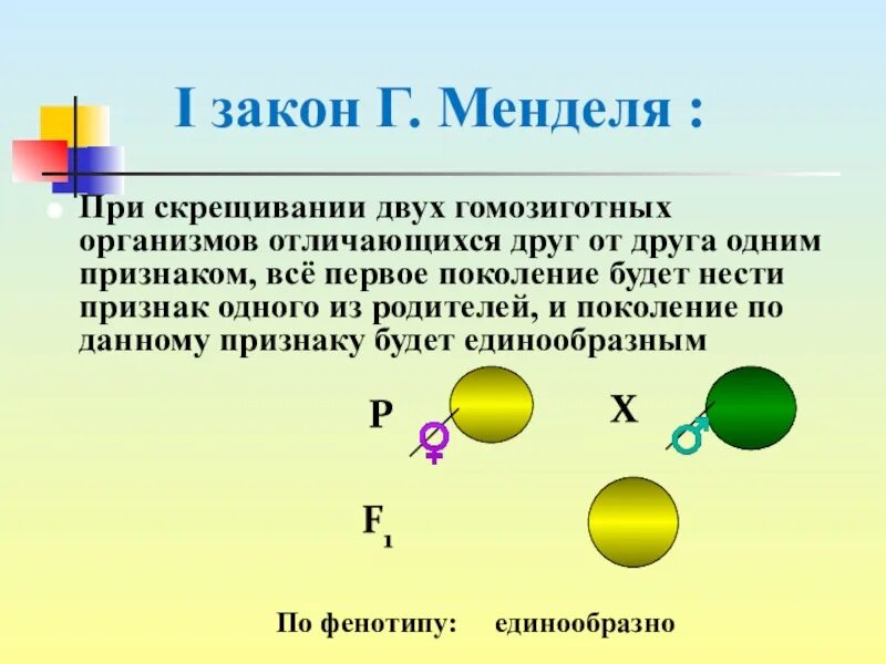 При скрещивании красных и желтых гомозиготных. При скрещивании двух гомозиготных организмов. закон менделя при скрещивании двух гомозиготных организмов. при скрещивании двух гомозиготных организмов различающихся. законы менделя презентация.