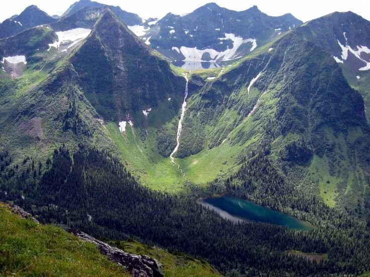 Купить флористику в г. Красноярск (Красноярский край)