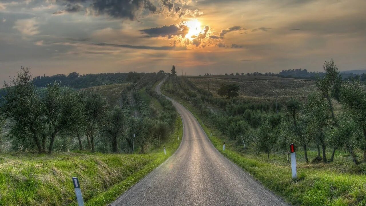 Дорога в тумане. Путь далекий край. Уходящая в даль. Тропа уходящая в даль. Дорога с развилками.