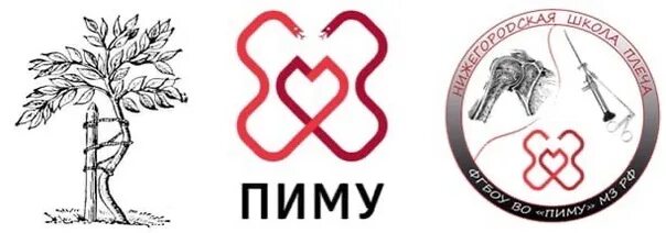 Пиму ординатору