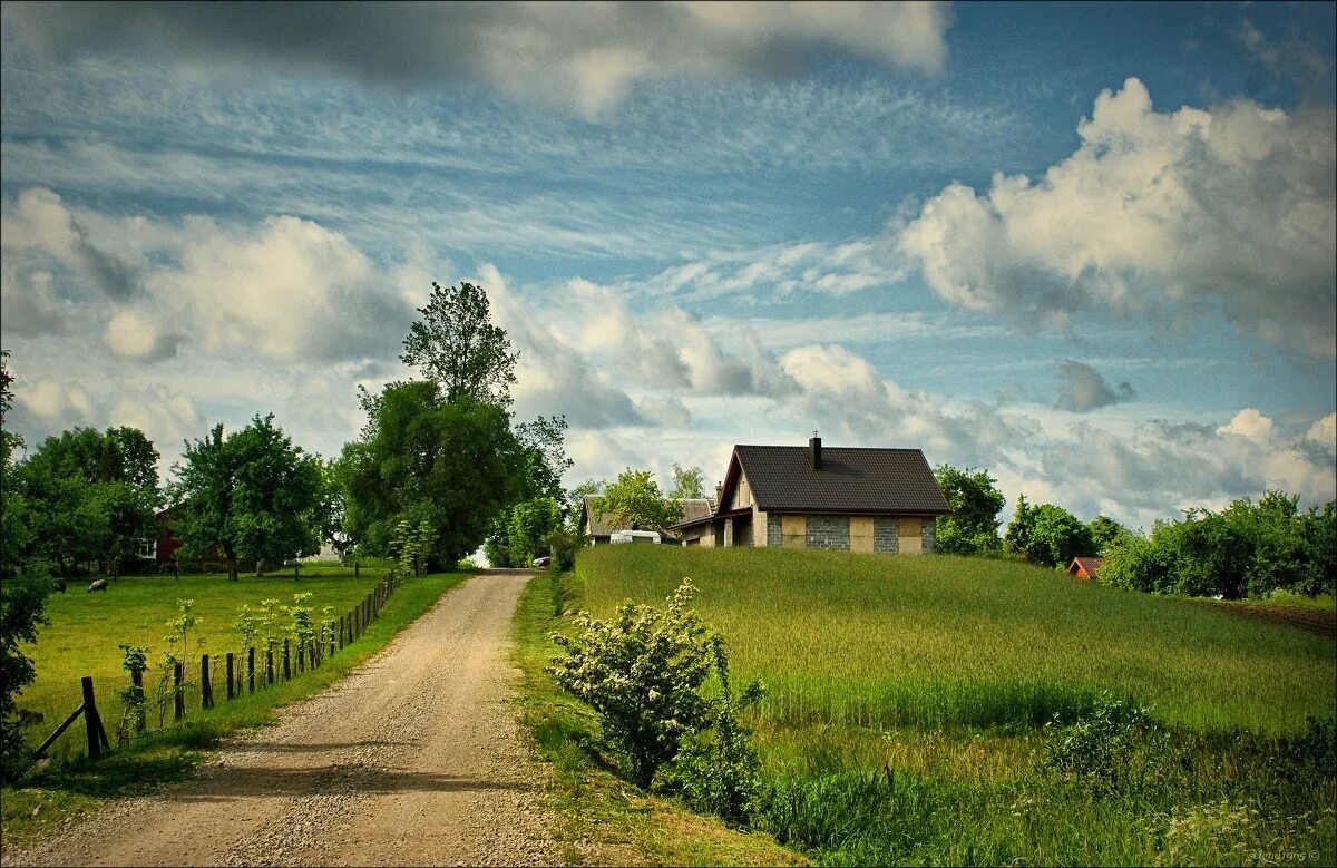 Где сельская местность. Лето в деревне. Природа деревня. Красивая деревня. Природа лето деревня.