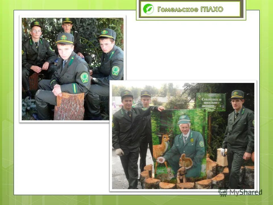 Дивин андрей михайлович гплхо. Шумский юрий иванович генеральный директор гомельского гплхо. Заблоцкий юрий иванович витебское гплхо. Лесхоз брестский официальный сайт. Сорвижского лесничества.