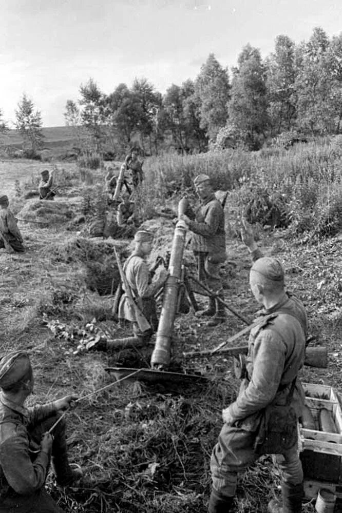 Видеоролик вов