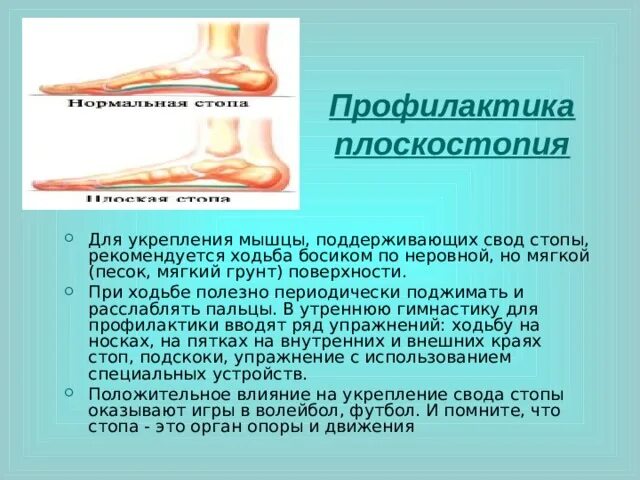 Свод стопы лечение. Мышцы свода стопы. плоскостопие. поперечный свод стопы мышцы. мышцы формирующие свод стопы.
