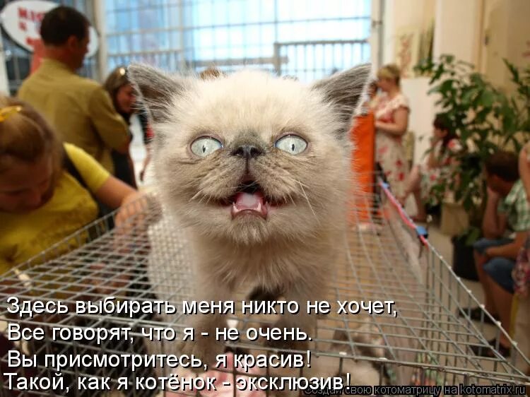 Утром не было никого. С добрейшим утром. Утро в отпуске. Утро доброе картинки оригинальные. Интересное утро.