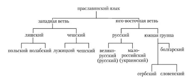 Языку который считается общим предком многих языков. Языку который считается общим предком многих языков