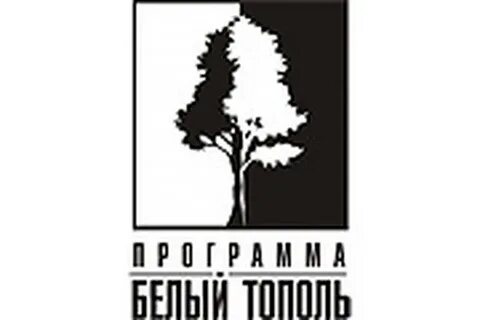 Белые тополя рассказ