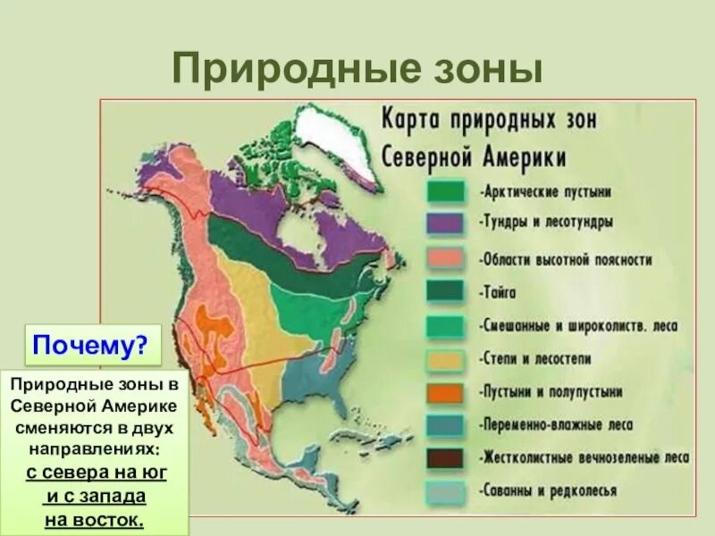 В какой природной зоне расположен свердловская область. Природные зоны. Северные природные зоны. Природные зоны Северной Америки и России. Расположение природных зон Северной Америки.