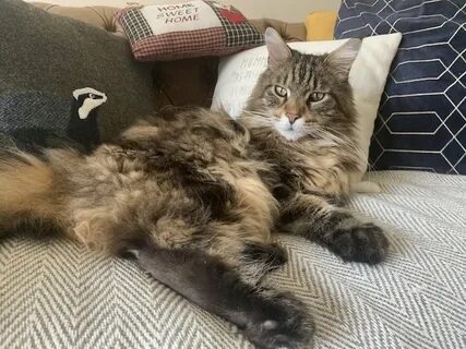 Сізді жылату үшін онлайн порно анальды қараңыз.