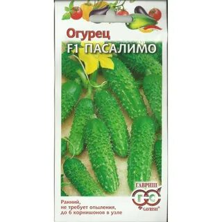 Огурцы сорт пасалимо