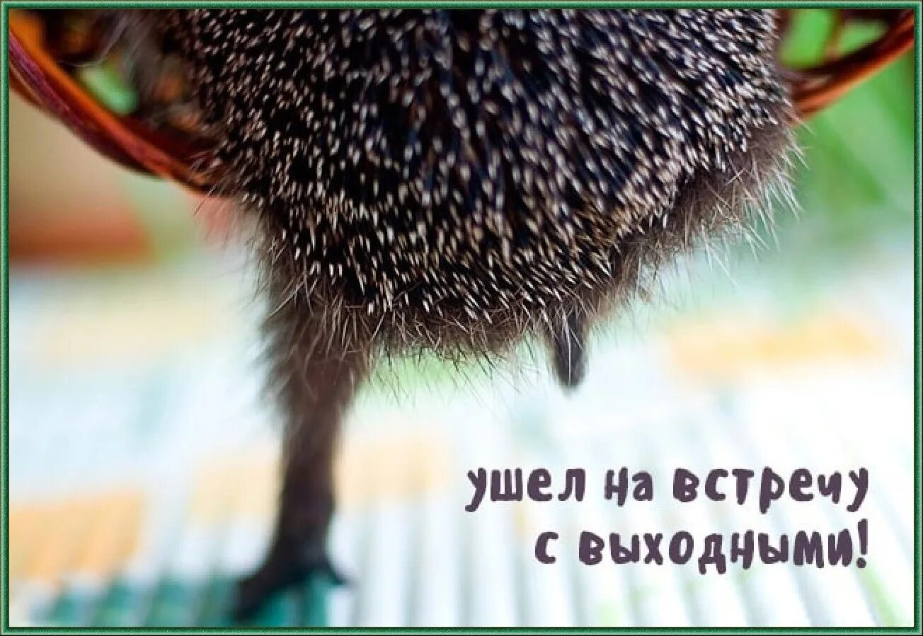 Любить без выходных