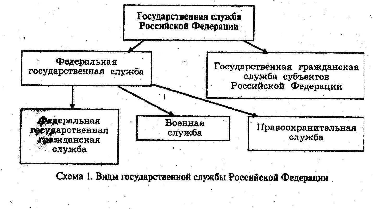 Виды служащих. Система государственной службы Российской Федерации схема. Виды государственной службы РФ схема. Структура государственной гражданской службы РФ. Система гос соужбы в РФ схема.