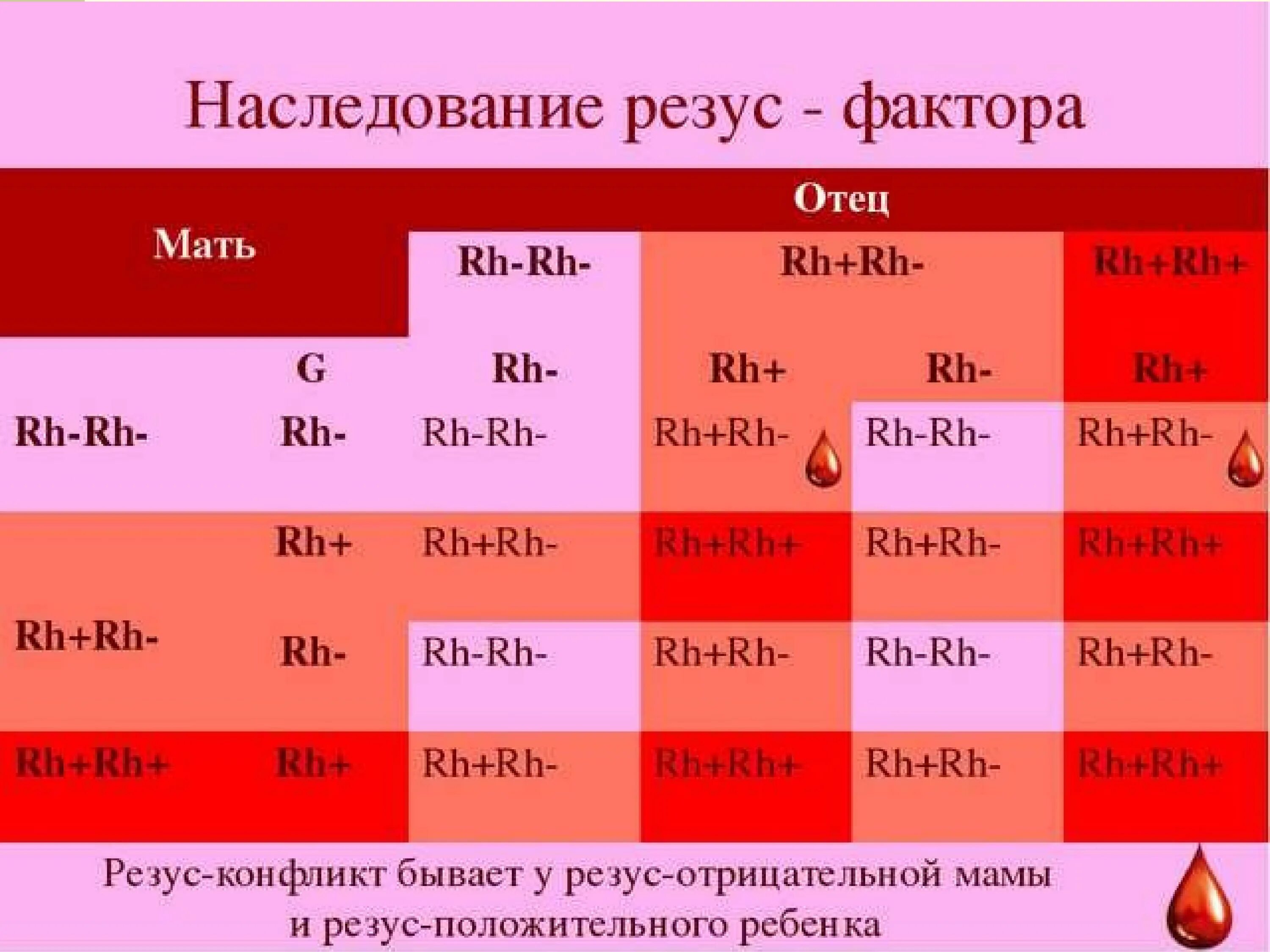 Группа крови если у родителей положительная а у детей 2 отрицательная. Резус фактор 1 группы крови. Резус фактор у матери положительный а у отца положительный. Отец и мать положительный резус а ребенок отрицательный. Беременность резус отрицательной матери